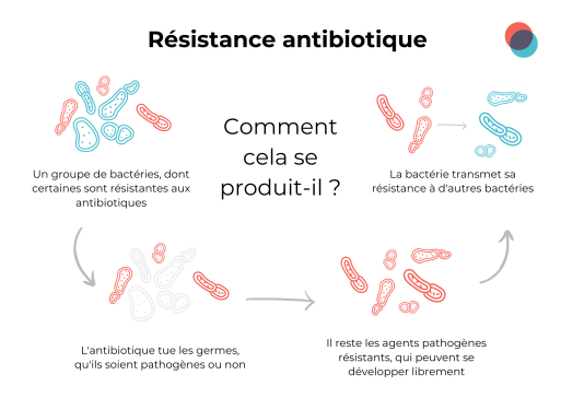 Résistance Antibiotique | Labtoo